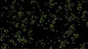 Symbiotic banner