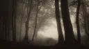 The Ruins of Bystad: A Xaniran Adventure server banner