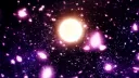 Hanami banner