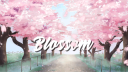 Blossom -  aesthetic themes/icons Discord server banner