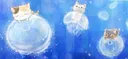 𝓑𝓾𝓫𝓫𝓵𝓮 𝓑𝓾𝓭𝓭𝓲𝓮𝓼 𝓤𝓝𝓘𝓣𝓔𝓓 Discord server banner
