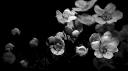 QHT banner