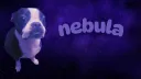 愛 . CUPID banner