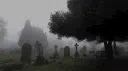 The Local Cemetery Discord server banner