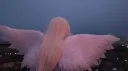 angels society ♡ Discord server banner