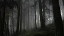 ᭄᭡ Herb Heaven ᭄᭡ Discord server banner