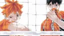 /toru banner