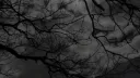гачи тусовка unnamed banner