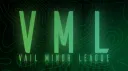 VAIL Minor League banner