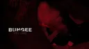 Bungee X Gum banner