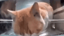 !Империя 67 banner