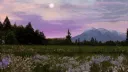 The Plural Plains🪻🌿 Discord server banner