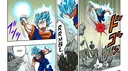potara banner
