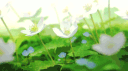 Cosy Corner banner