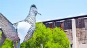 UTSA: Friendz banner