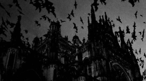 ‧₊˚🥀 Kin Kave 🦇˚₊‧ Discord server banner