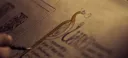 ӨᒪYMPЦƧ - ΉΛᒪF-BᒪӨӨD ΛƧᑕΣПƧIӨП 𝟏𝟖+ Discord server banner