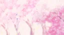 *ੈ Sakura Discord server banner