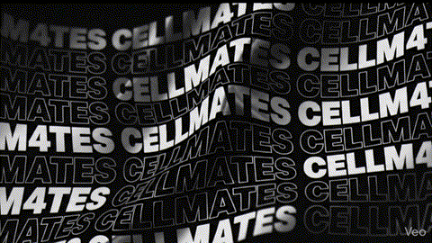 cellmates Discord server banner