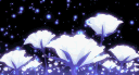 boat wheels ꩜ .ᐟ ! banner