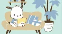 Pocho banner