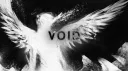 VOID banner