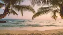 🌊  Paraíso da Isis 🌊 #300 banner