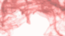 Miau Miau Store banner