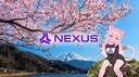 Nexus  Banner