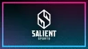 Salient Sports banner