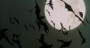 The Legacy Flamingos [TLF] Banner