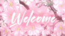 Zaphyr SMP banner