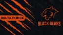 Clan BEARS Banner