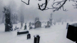 𝑪𝒉𝒂𝒐𝒕𝒊𝒄𝒔 server banner