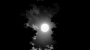 ʏᴀᴋᴜᴢᴀ ꜱᴛᴏʀᴇ banner