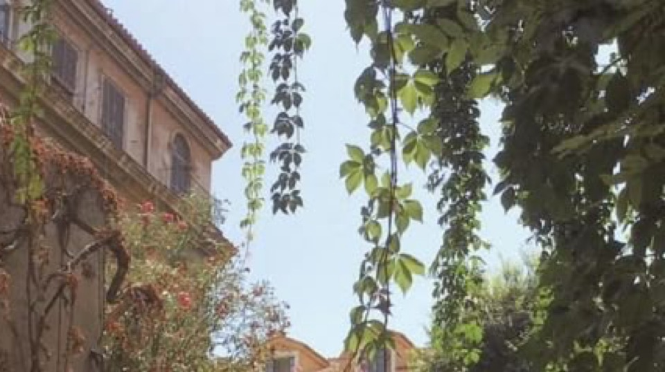 𝐈𝐈. 𓂃 ₊ ﹒𝐀𝐑𝐁𝓞𝐒𝐀𝐍𝐀 𝐔𝐍𝐈𝐕𝐄𝐑𝐒𝐈𝐓𝐘 Discord server banner