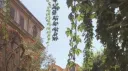 𝐈𝐈. 𓂃         ₊ ﹒𝐀𝐑𝐁𝓞𝐒𝐀𝐍𝐀 𝐔𝐍𝐈𝐕𝐄𝐑𝐒𝐈𝐓𝐘 banner