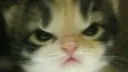 top 10 server Discord server banner