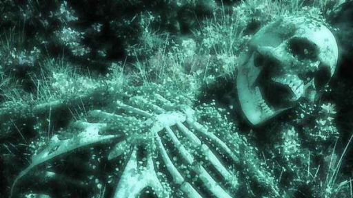 Angel's Garden Discord server banner