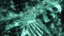 Angel's Garden Discord server banner