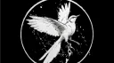 THE MOCKINGBIRD MOVEMENT banner