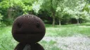 pekopon🍀 Discord server banner