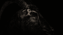 Darky Edits Discord server banner
