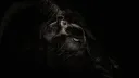 Darky Edits banner