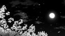 ox8 Discord server banner