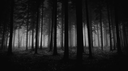 Sugoi 𝜗𝜚 Banner