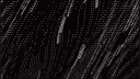 𝐓𝐞𝐚𝐦 ・𝐙𝐤𝐑𝐭 banner