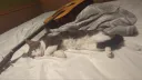 Chillin server banner