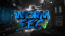 WormSecurity Discord server banner