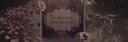 ᰈ̠　⊹🪲　˚　　Nyra.　 Banner